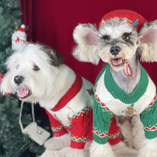 Christmas Sweater and Hat