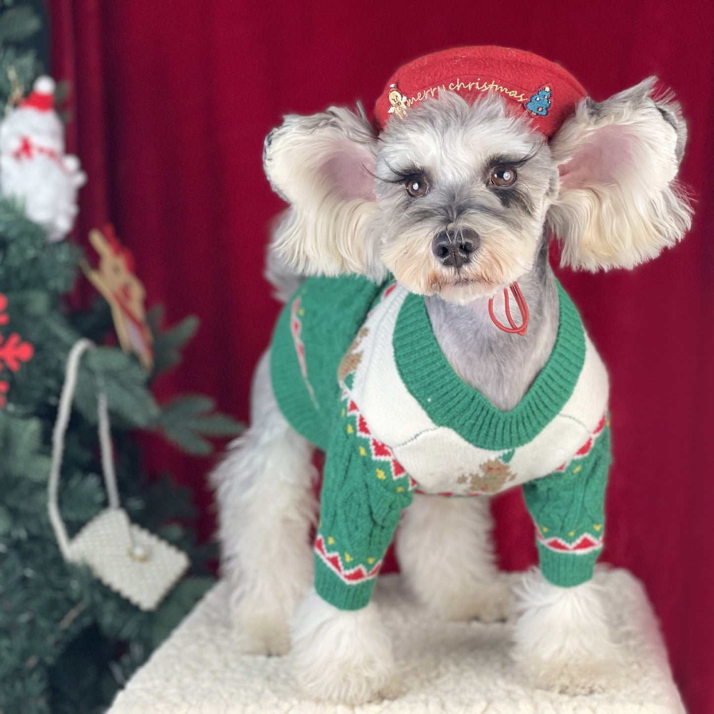 Christmas Sweater and Hat