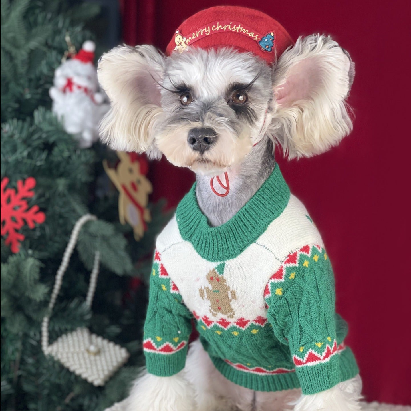 Christmas Sweater and Hat