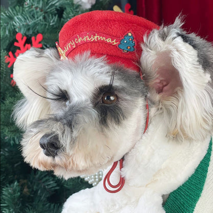 Christmas Sweater and Hat