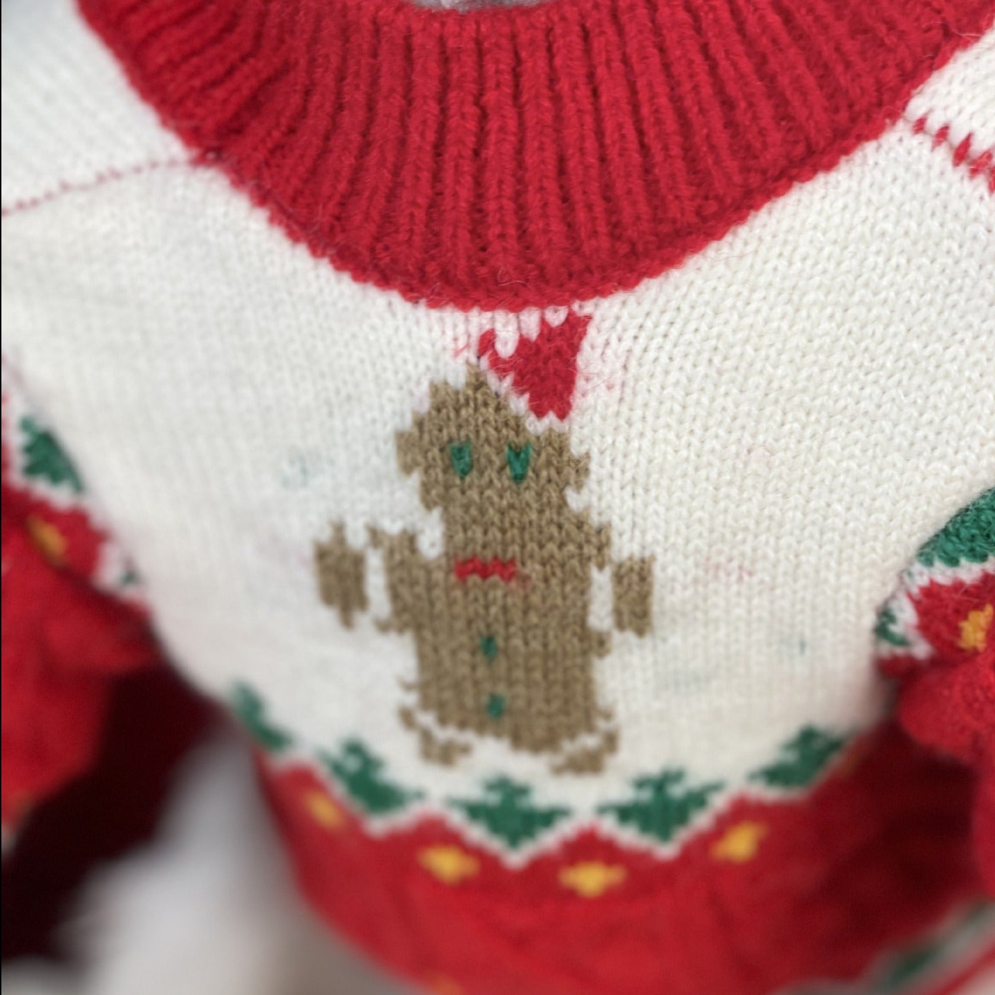 Christmas Sweater and Hat