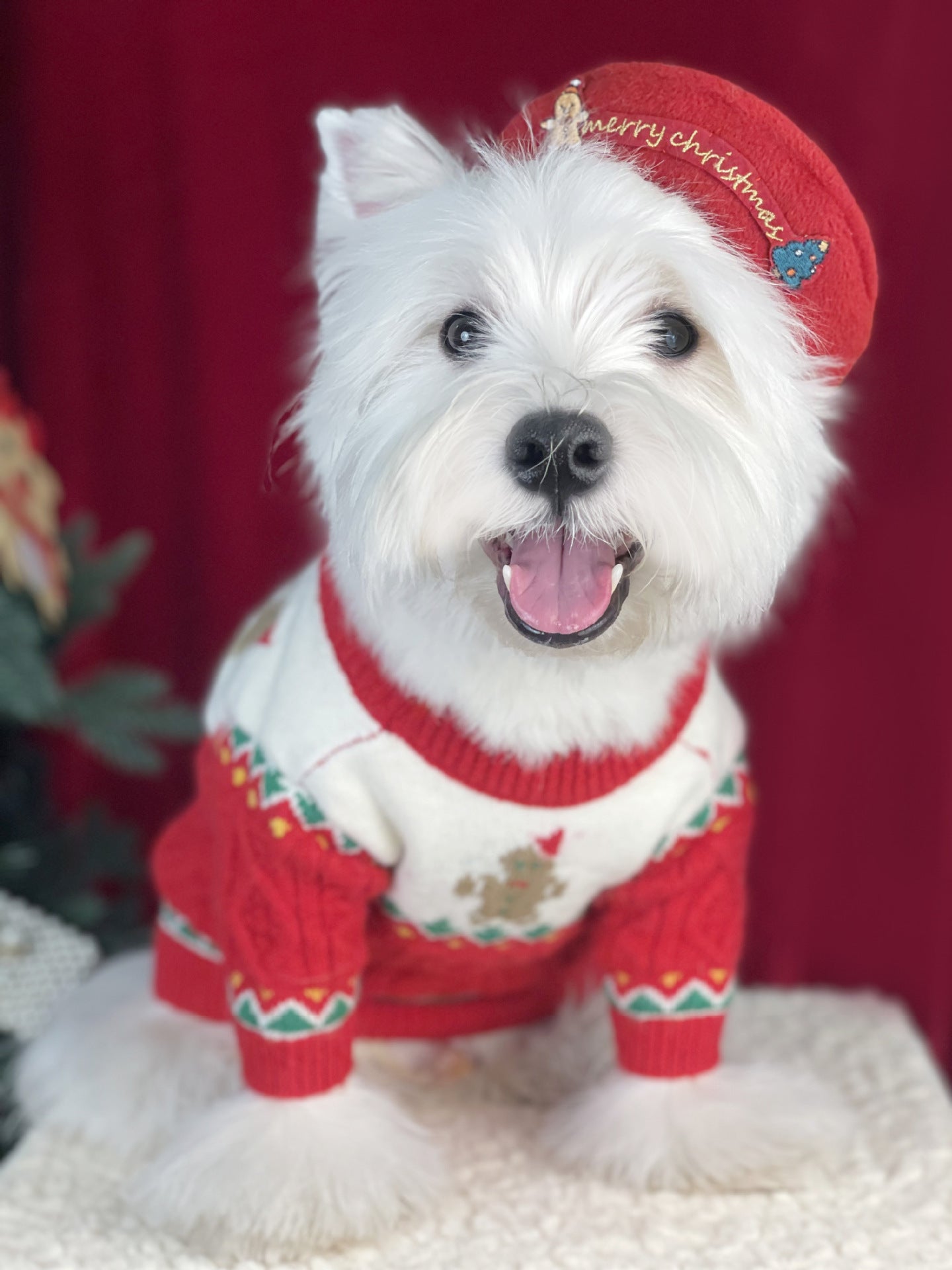 Christmas Sweater and Hat