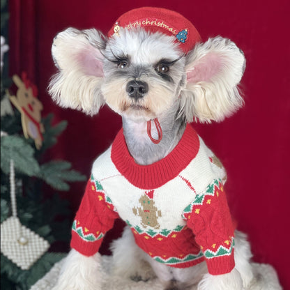 Christmas Sweater and Hat