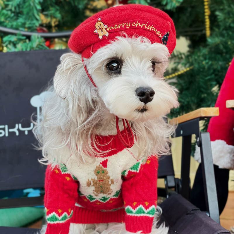 Christmas Sweater and Hat