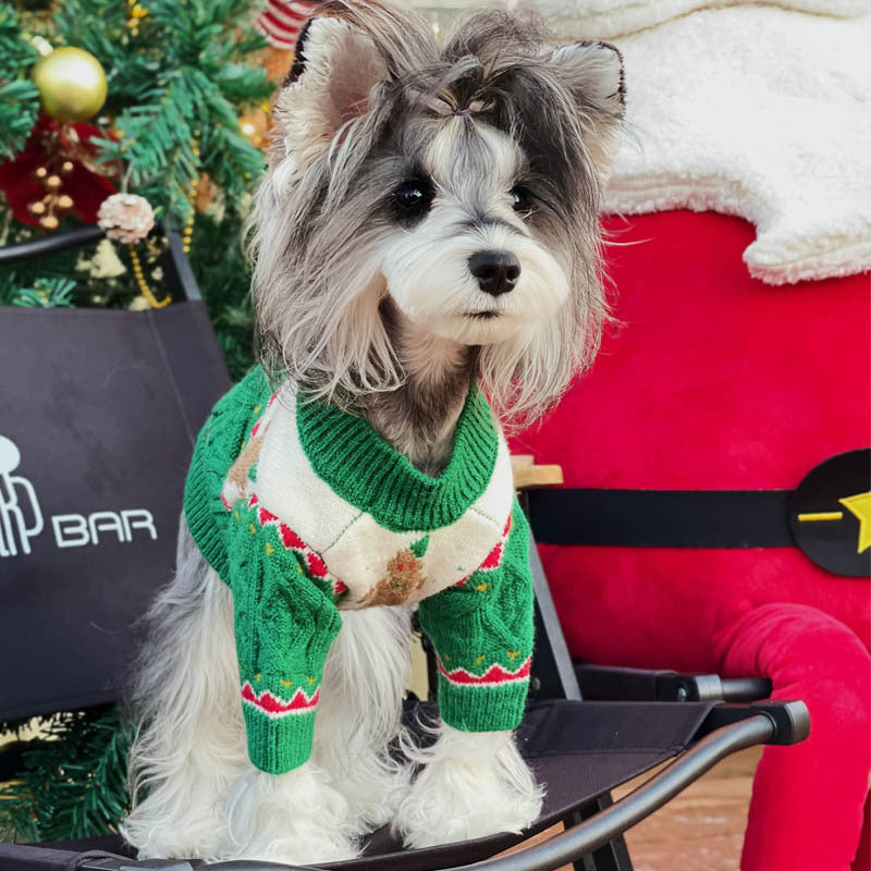 Christmas Sweater and Hat