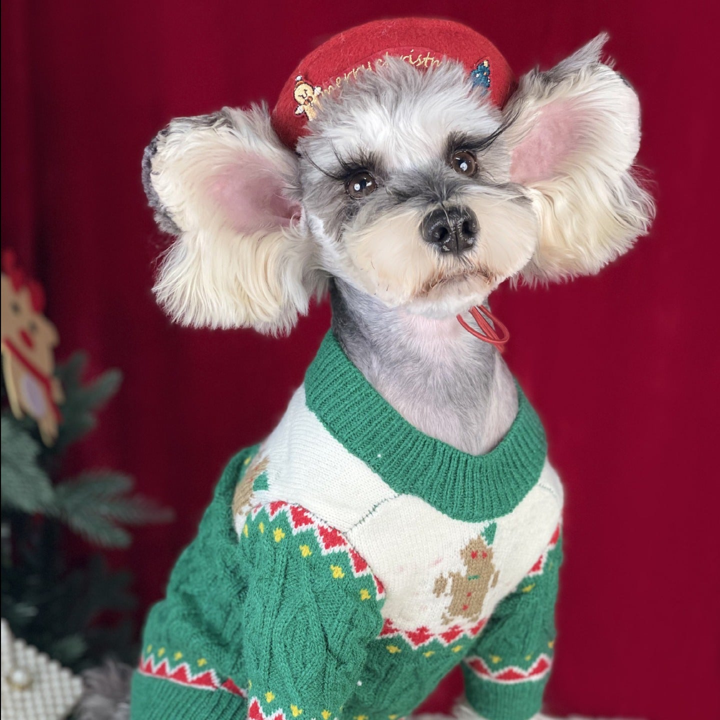 Christmas Sweater and Hat